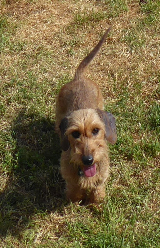 [Image: P1030370-Copie.jpg]