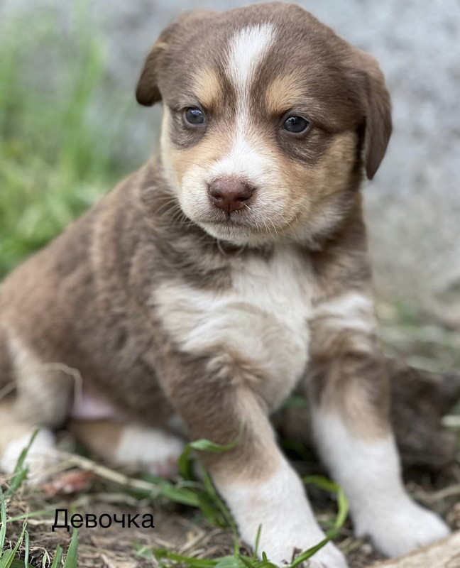 4D75AC49-993F-41ED-8D2E-5A29B83F7EAF