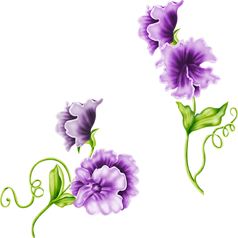 KBK_PrettyRabbit (20)