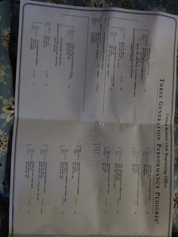 D76AC0C7-2C46-45ED-B8D7-1C155C7015F2