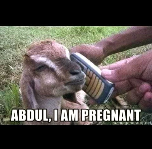 Abdule-Im-pregnant