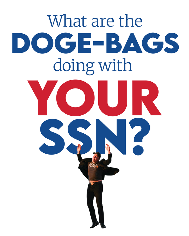 16x20 Doge-Bags (SSN version)