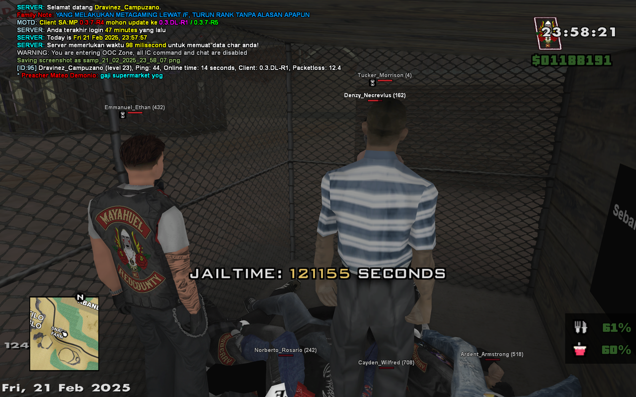 samp-21-02-2025-23-58-21.png