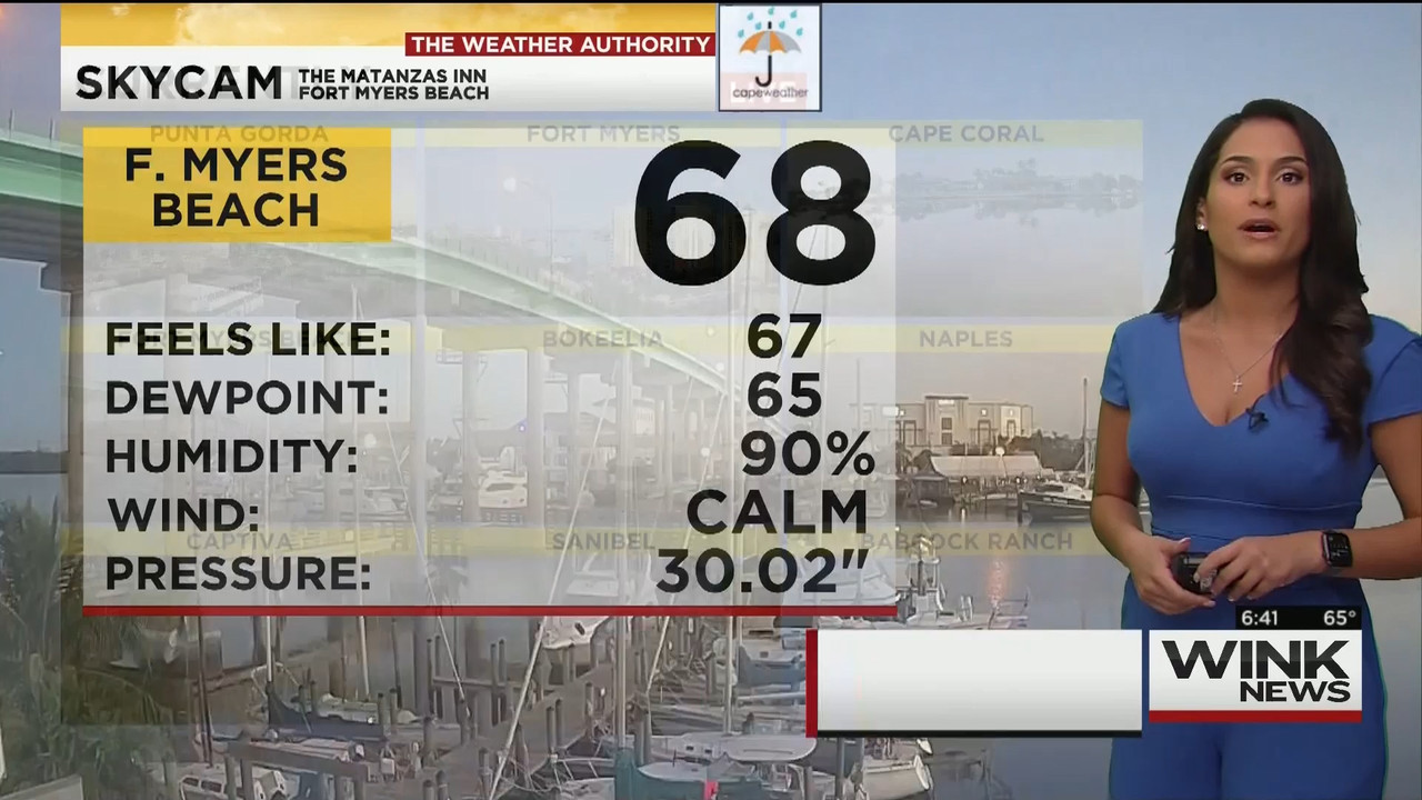 11.28 - 11.00.00 - WINK News This Morning..ts_snapshot_42.09.460