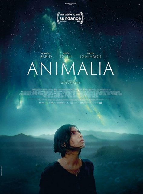 Animalia (2023) MULTi.1080p.HMAX.WEB-DL.H264.DD5.1.DD2.0-K83 ~ Lektor i Napisy PL