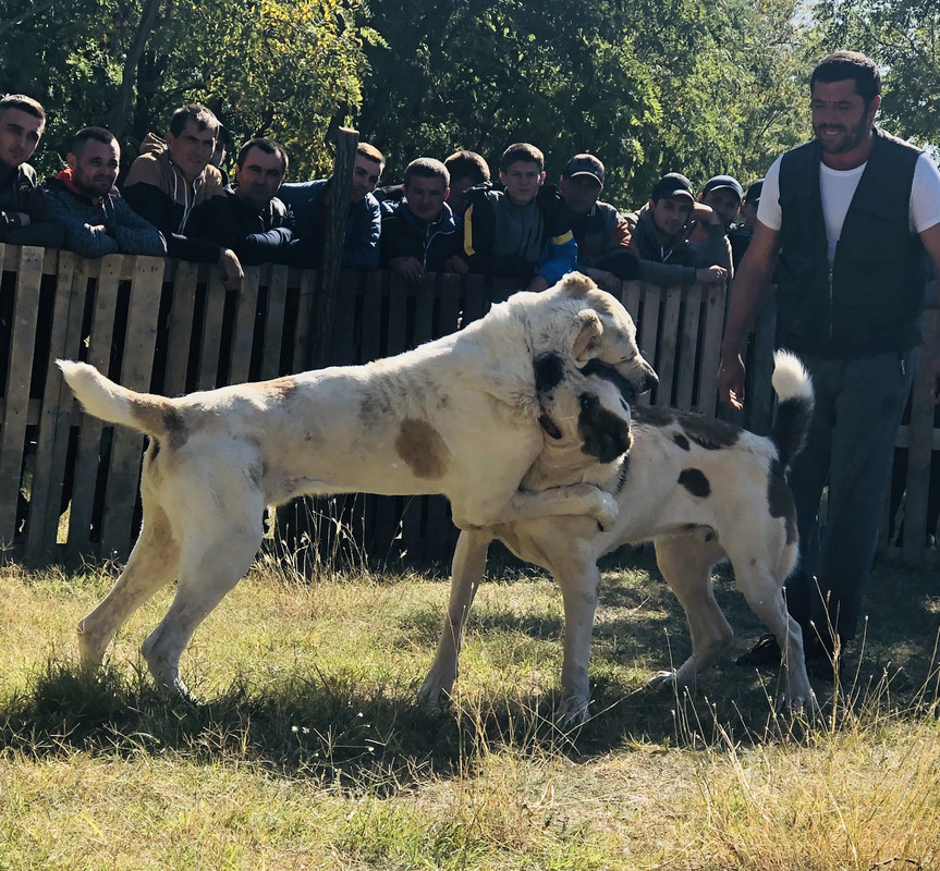 9A09B752-31B8-45AC-9523-283632CA942C