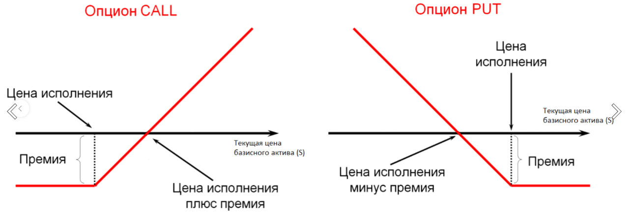 article content image
