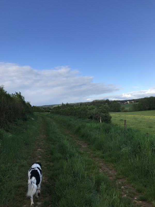 887D2A55-7CDC-4F99-B3BB-7D6362B93A50