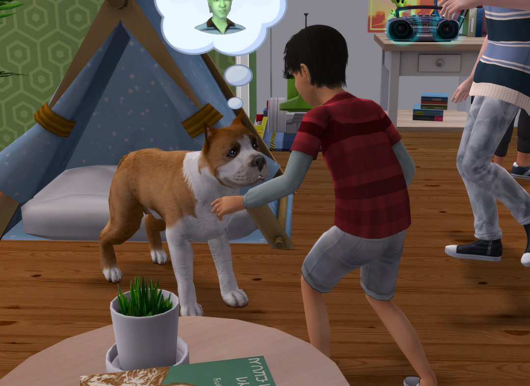 ksnip-20250806-192849