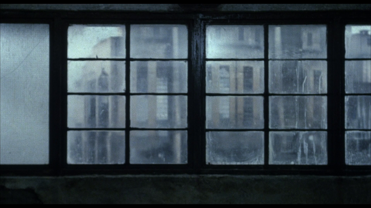 vlcsnap-2021-11-22-08h28m01s617.png