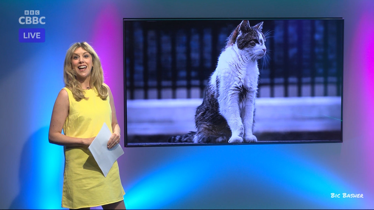 Newsround 20260728 07450755 ts snapshot 09 59 000