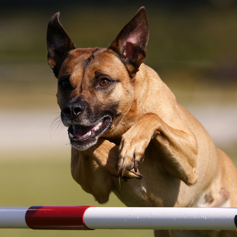 73B9767D-5CAF-46E7-90E3-5B832CD1C0E3