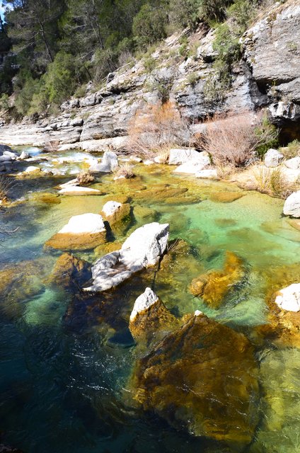RUTA RIO BOROSA-12-3-2016-JAEN - Paseando por España-1991/2016 (60)
