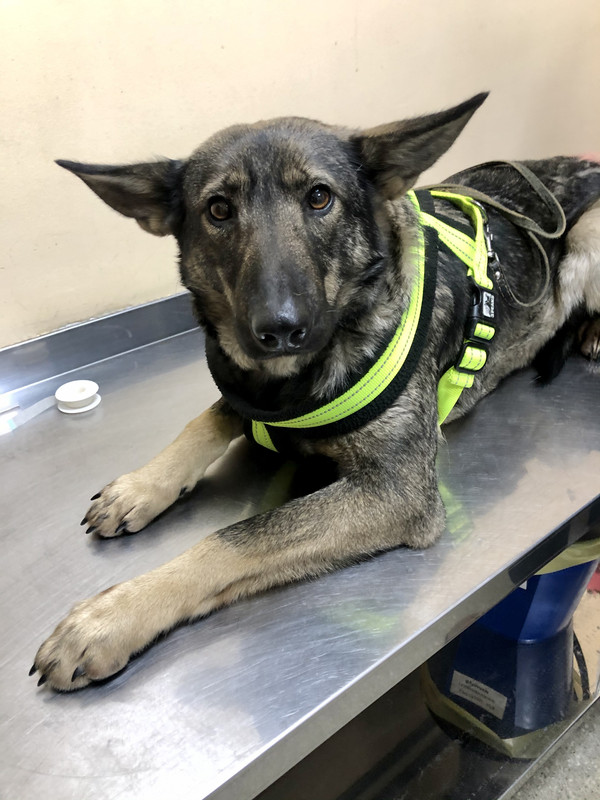 D59F712E-F41A-4B69-B45C-4A3D2470182D