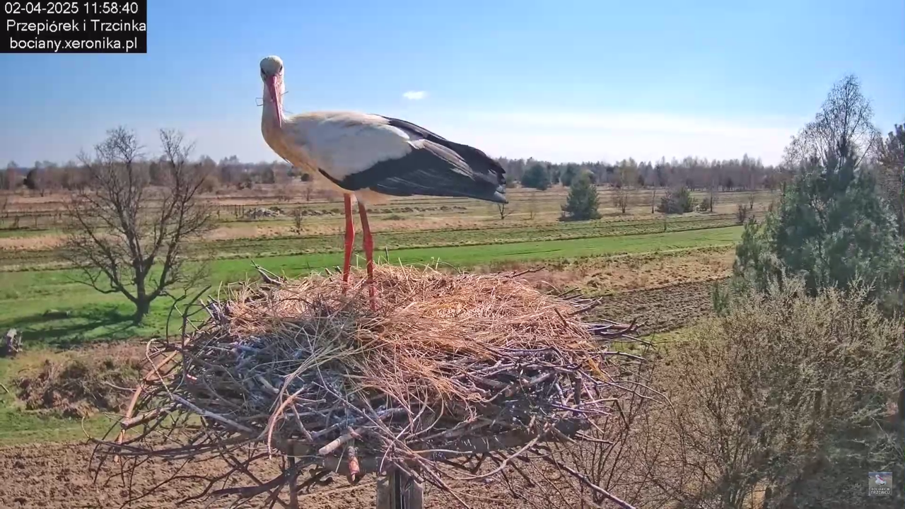 02042025krotkawizytabocka_30