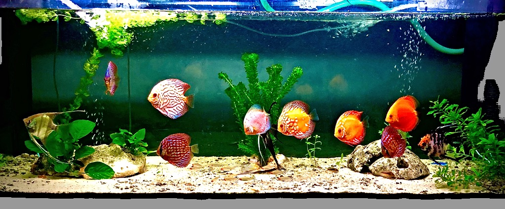 E0CBE3AF-9608-412F-A2A6-A25FE532AC36