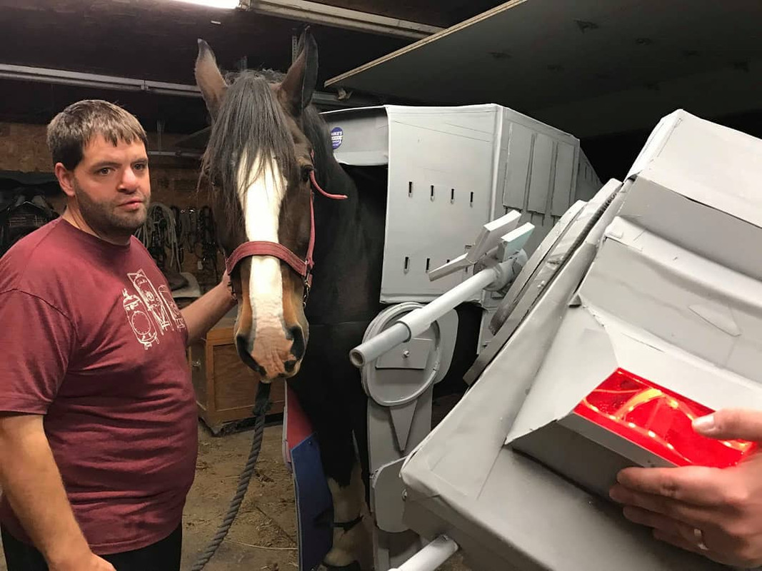 Man builds his horse an amazing AT-AT Walker costume for Halloween |  TribLIVE.com