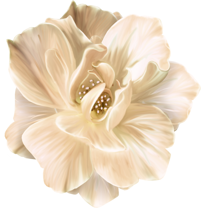 BIBI-PINK ANGEL ELEMS (98)