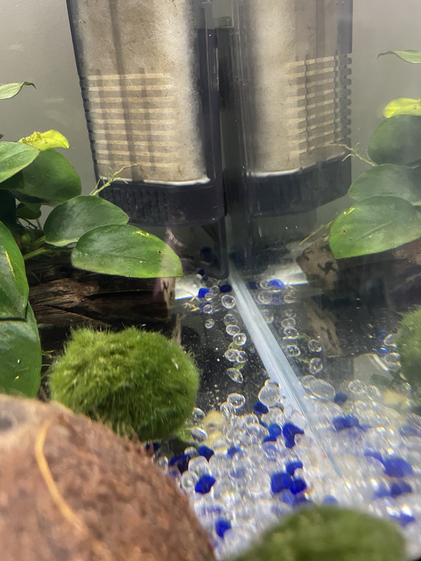 4E92A950-1733-4425-92EF-AD80BA4EE8D4