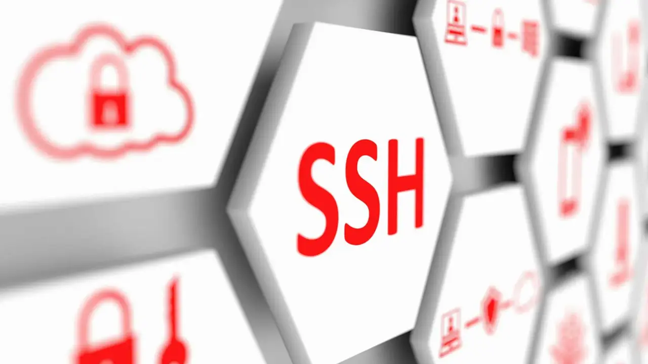 Claves SSH: Una Guía Completa para la Seguridad en Conexiones Remotas