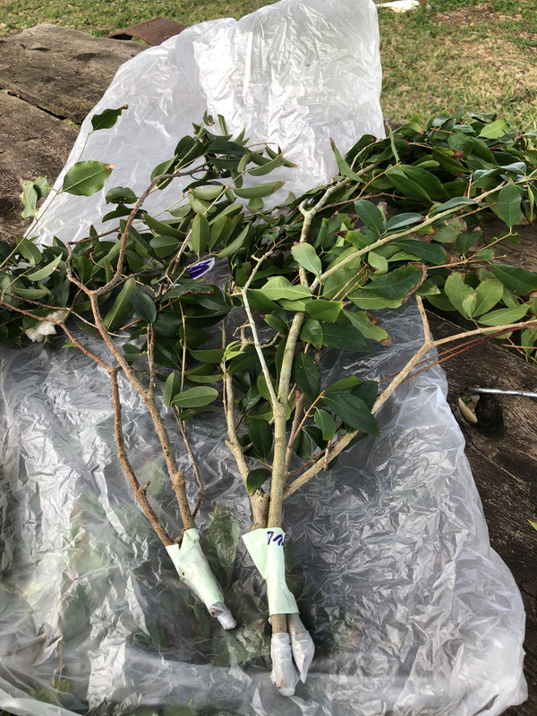 AE905595-ADF3-4EDF-A220-33E900A42221