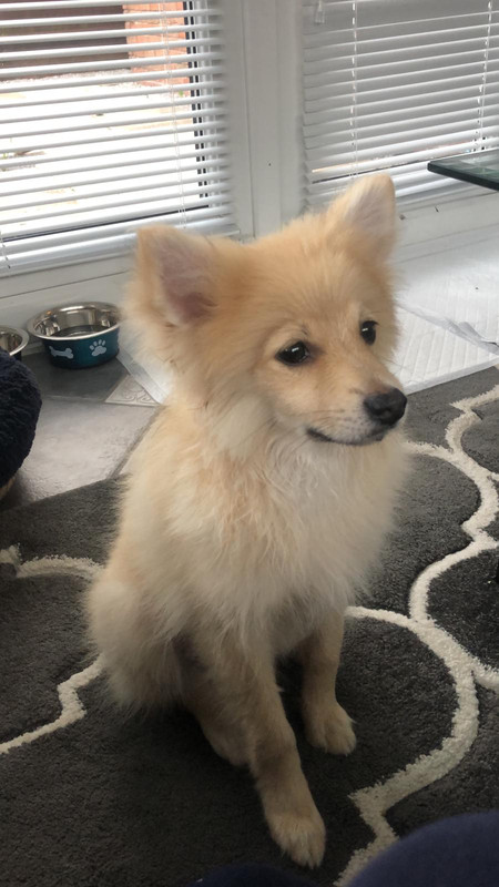 37D1980A-DA5A-42D7-B435-7AE46A18F7E2