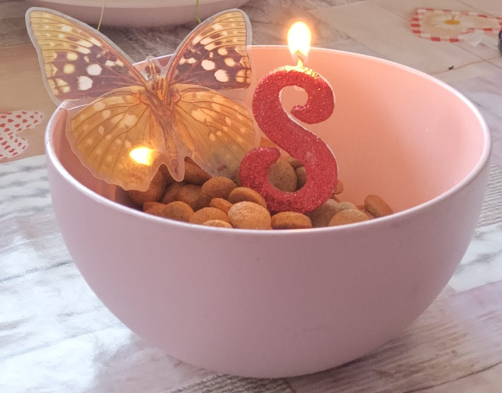 Maša 8.rođendan 26.12.2023.