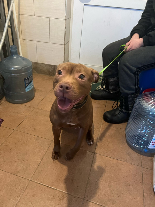 WhatsApp Image 2024-02-04 at 19.39.32 (2)