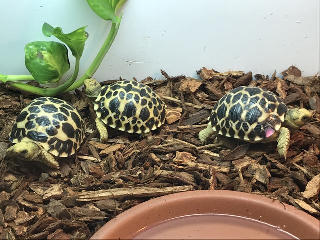 50FFA663-2BD8-4CE3-8CD1-B8AB4D48D6D5