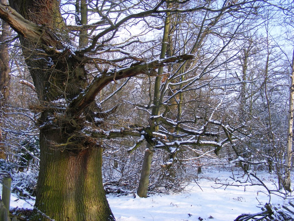 DSCF6803.jpg