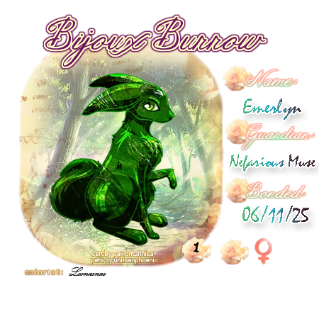 User Image