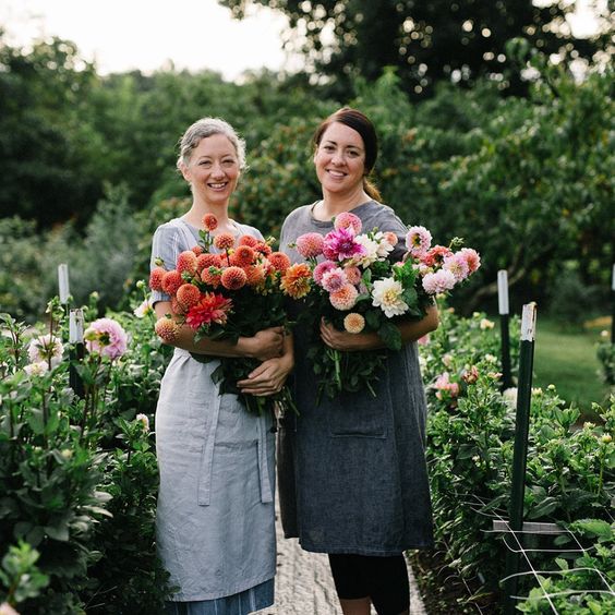 How to start a cut flower garden