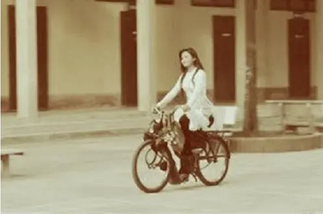 [Image: 5velosolex.jpg]