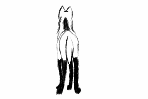 B1187-CE7-BB1-D-49-EE-AC89-851-E19-D7-C139.gif
