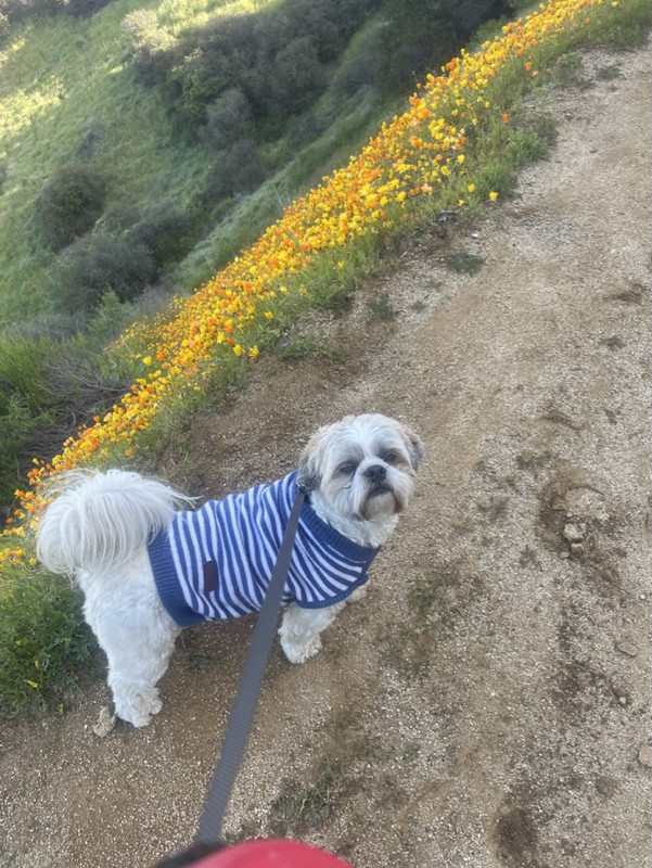 D5-AFE33-D-0978-44-A5-8-FD5-5-E86-F3-E0-FA4-E-1-105-c