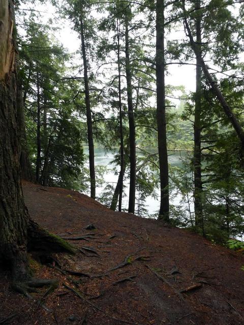 Parque Provincial de Algonquin - DOS SEMANAS EN EL ESTE DE CANADÁ (ONTARIO Y QUÉBEC) (11)