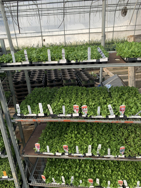 A972D15D-A2CA-4015-88F3-E98080DD9E61