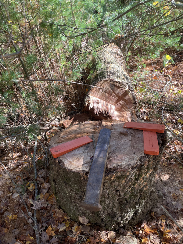 71A17386-6847-41A6-AB80-D375ABA68366