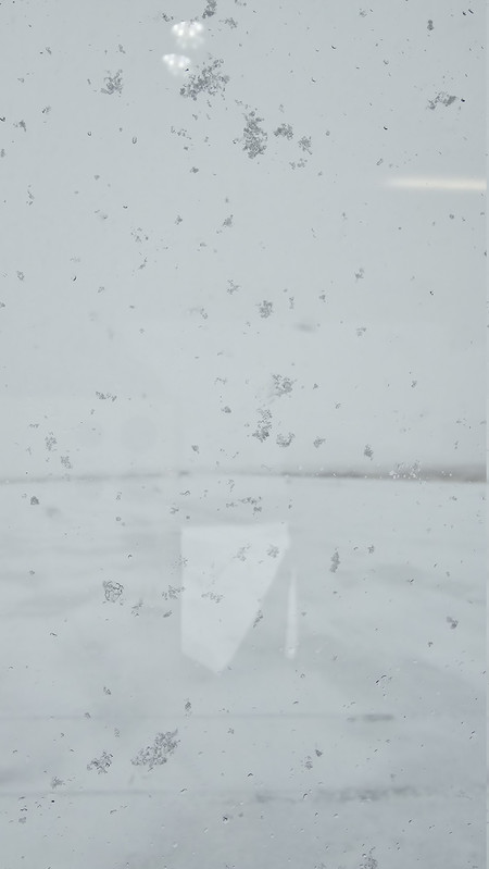 雪花吹來車窗上