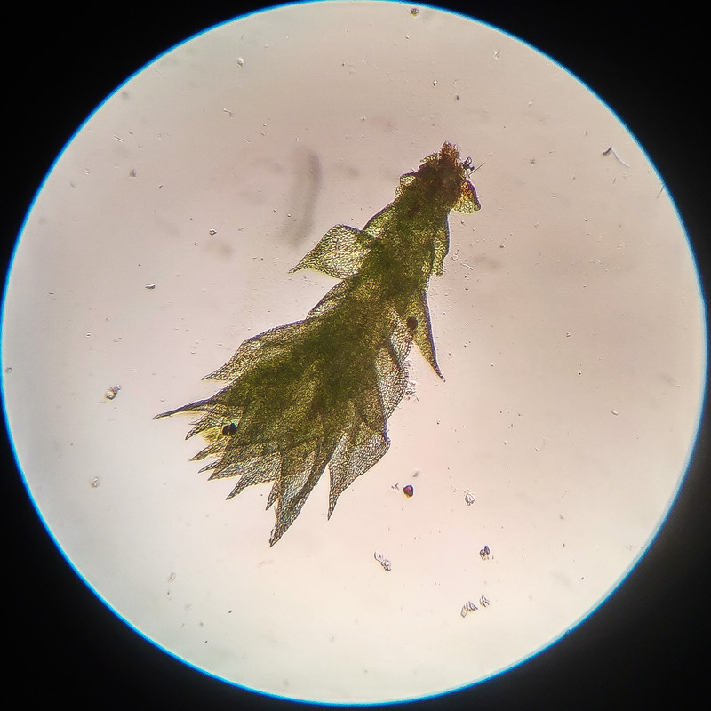 IMG 20250615 221658 HDR