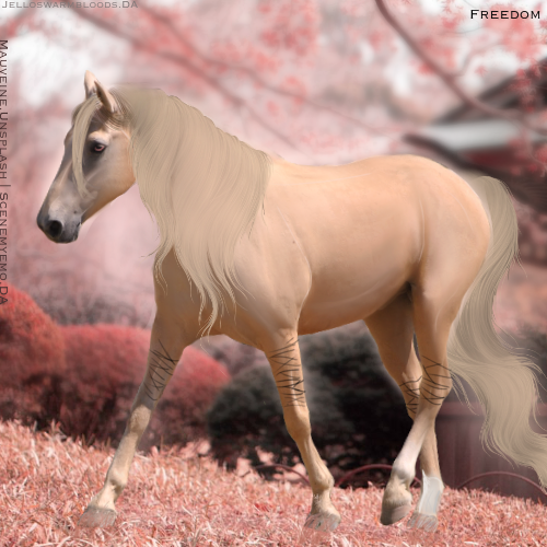 41107724-A8BC-42D5-9D6C-63A9E714C23D