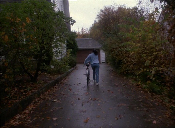 The.Stepfather.1