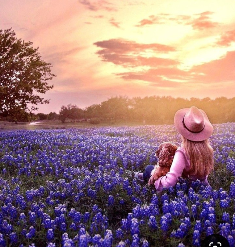 Screenshot_20240609_210623_Pinterest