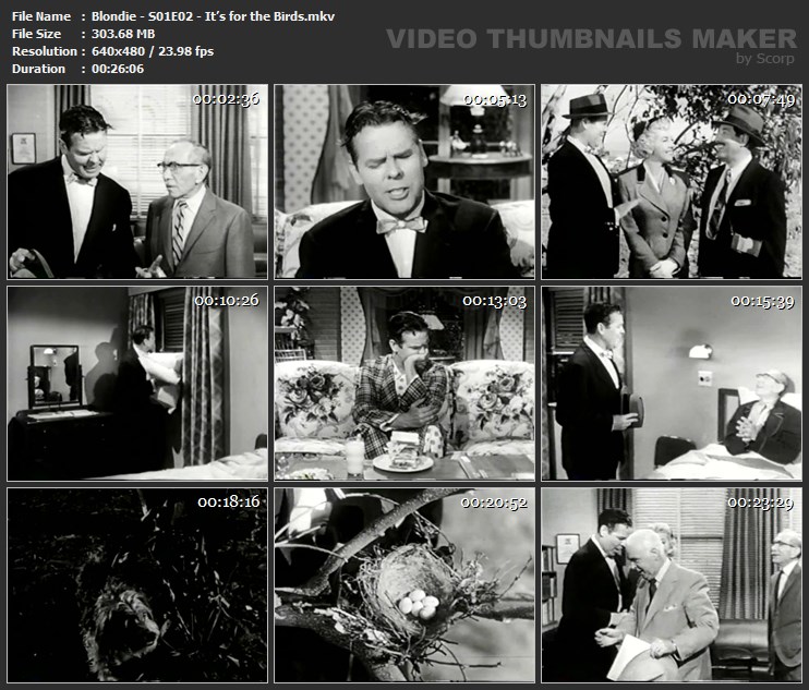 Blondie - S01E02 - It’s for the Birds.mkv