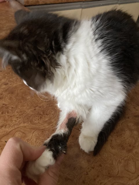 1216F9AA-495A-47EB-A517-1080B6551C4D