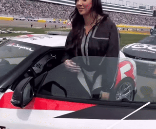 nascar1.gif