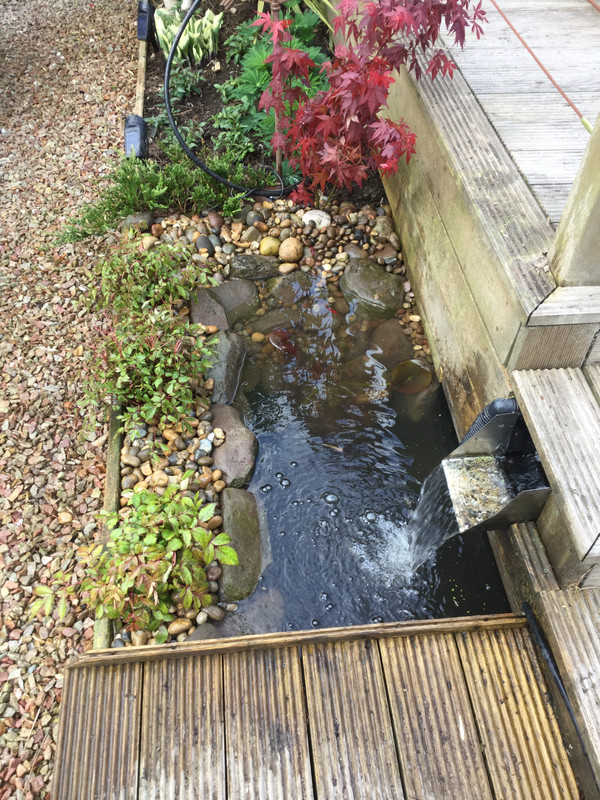 63A0E833-EA4D-4234-9946-F48D4F07314E