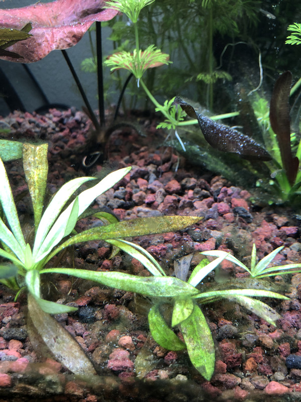 2A08585A-9C8C-4031-8130-90166A8989C5