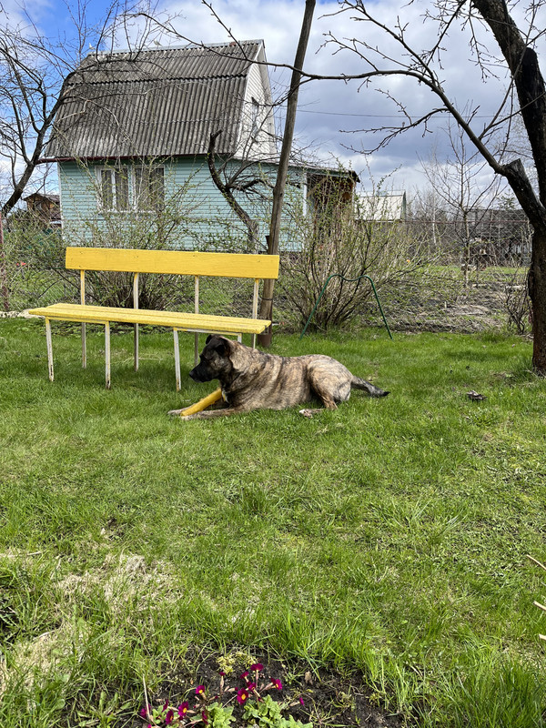 D84FF2B3-044A-4C5E-A637-78285B657DF4