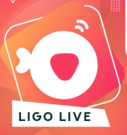 LIGO LIVE